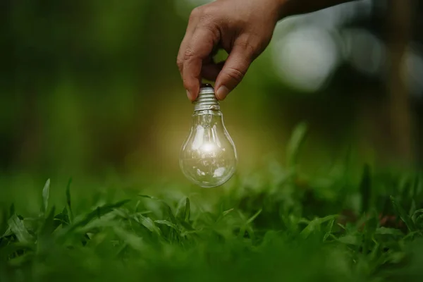 Stock image Light bulb Energy saving green nature background