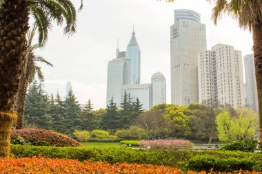 Şehir manzarasının ortasında çiçek açan ve yemyeşil olan Şangay 'da etkileyici bir gökdelen..