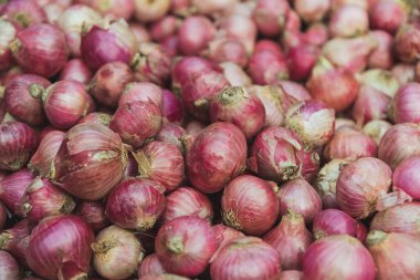 Bereketli kırmızı soğanlar, taze ve canlı, bol bol sergileniyor..