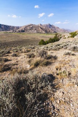 Dağları olan nefes kesen Oregon vahşi doğası, kaya patikaları ve dingin doğa..
