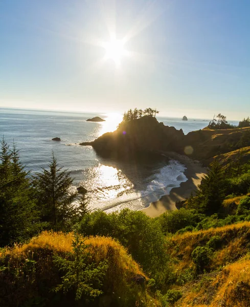 Serenity on a beach: sun, sea, sky, trees, water; nature's captivating beauty. Oregon Coast Pacific Northwest