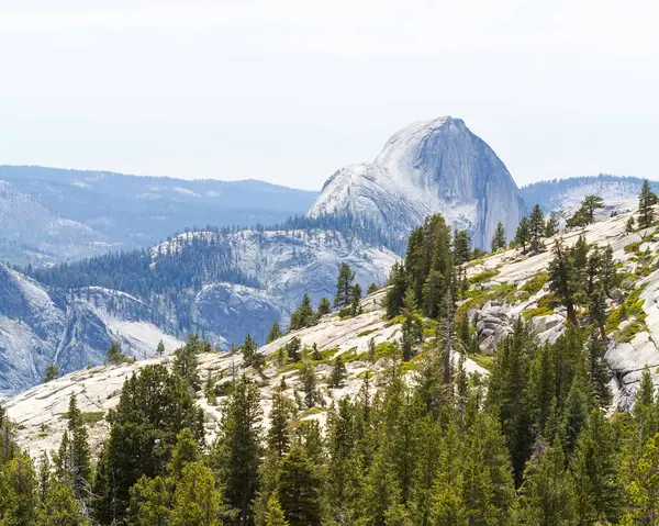 Majestic coniferous trees in a serene mountain landscape. Nature\'s beauty on display. Half Dome Yosemite National Park California