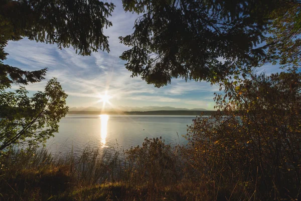 Autumn morning's serene nature: tree, lake, reflection, sunlit, tranquil scene. Hood Canal Olympic Peninsula Washington State Pacific Northwest