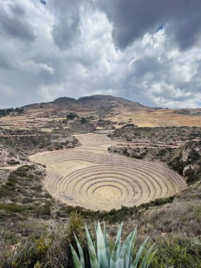 Moray, Peru 'da bitki ve gökyüzünün ortasındaki tarihi İnka teras alanları.