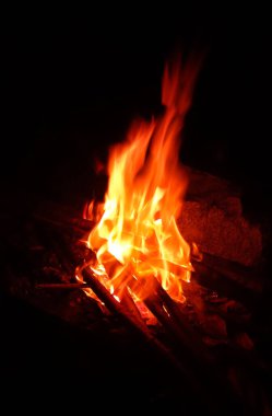 Şenlik ateşi geceleri ağaçları yakıyor. Büyük turuncu alev siyah arka planda izole edilmiş. Siyaha ateş. Parlak, sıcak, ışık, kamp, büyük şenlik ateşi