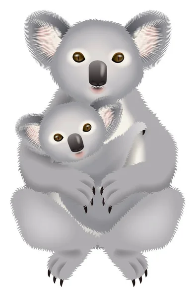 Koala Rodzic Ilustracja Dziecka Białe Tło — Zdjęcie stockowe