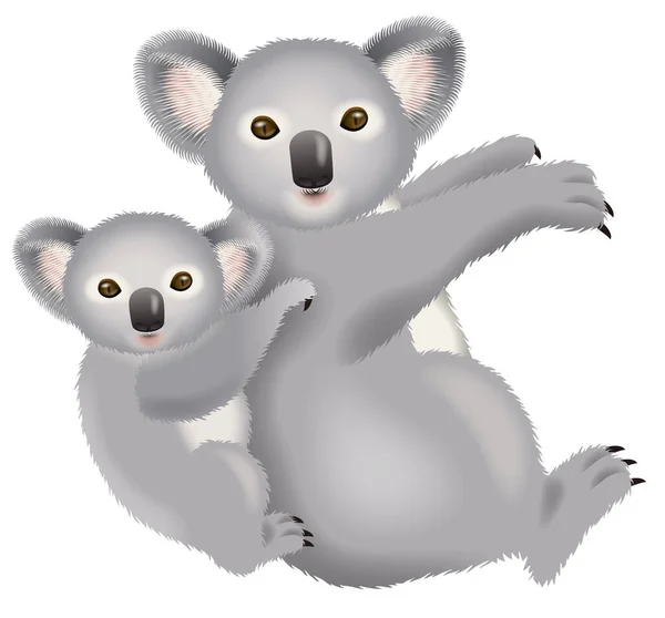Koala Γονέας Και Παιδί Εικονογράφηση Λευκό Φόντο — Φωτογραφία Αρχείου