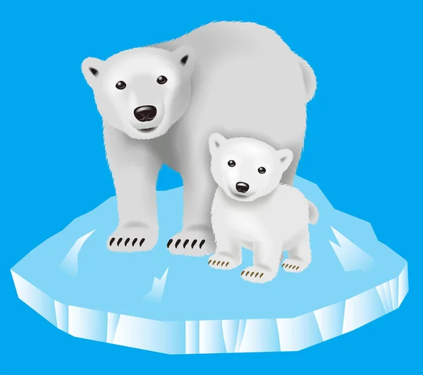 Parent and child polar bear. An illustration.