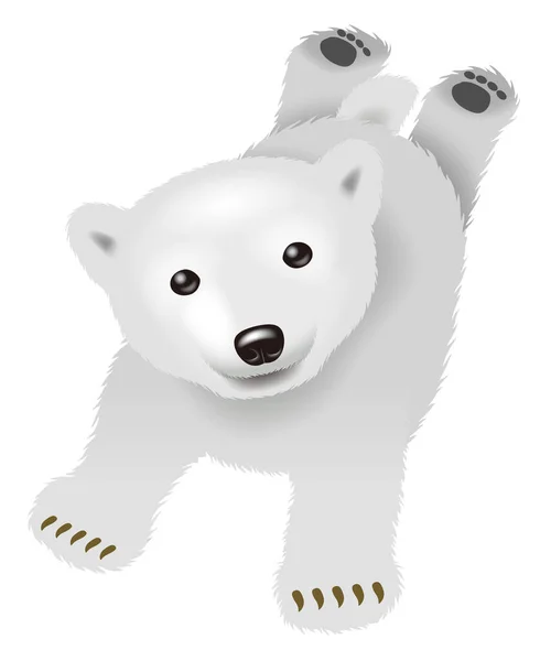 Ilustração Urso Polar — Fotografia de Stock