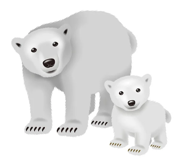 Rodzic Dziecko Niedźwiedź Polarny Ilustracja — Zdjęcie stockowe