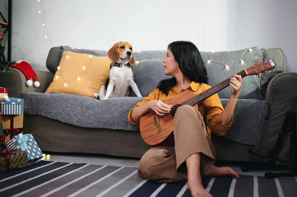 Happy Asian woman celebrating with beagle puppy and favorite guitar inside house decorated with Christmas tree, gift box and bulb in the living room.