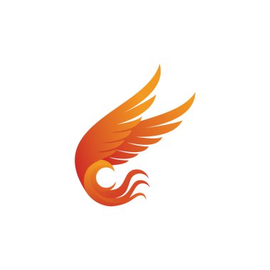 orange bird logo vector template