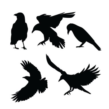 Set Crow Logo Template Design