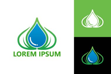 Leaf water logo template design vector