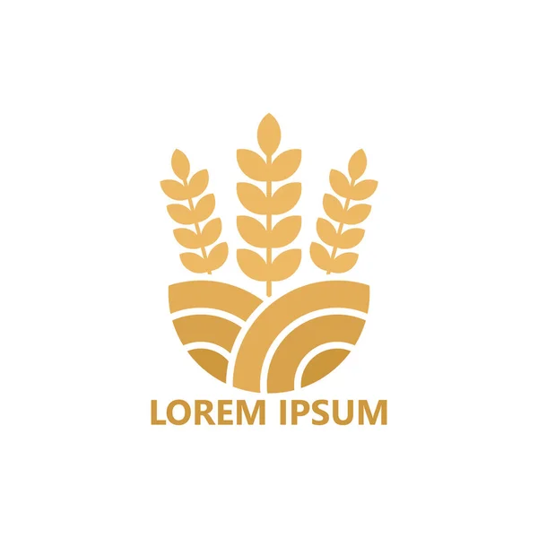 Wheat field logo template design