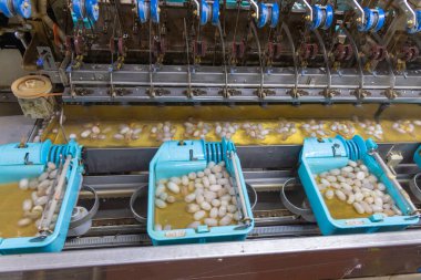 Silk factory in Da Lat, Vietnam