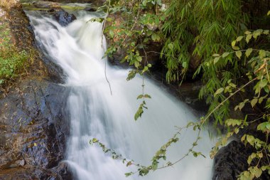 Datanla waterfall near Dalat, Vietnam