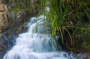 Datanla waterfall near Dalat, Vietnam