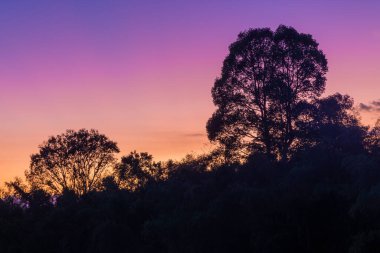 Dusk on the Song Dong Nai River in Cat Tien National Park, Vietnam