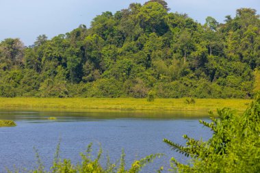 Bau Sau (Crocodile Lake), Nam Cat Tien National Park, Vietnam