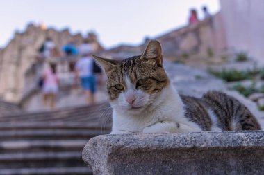 Streets in the historic old town of Dubrovnik, Croatia