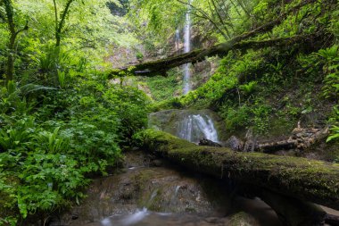 İlkbaharda Brisalo Şelaleleri, Zumberak, Hırvatistan