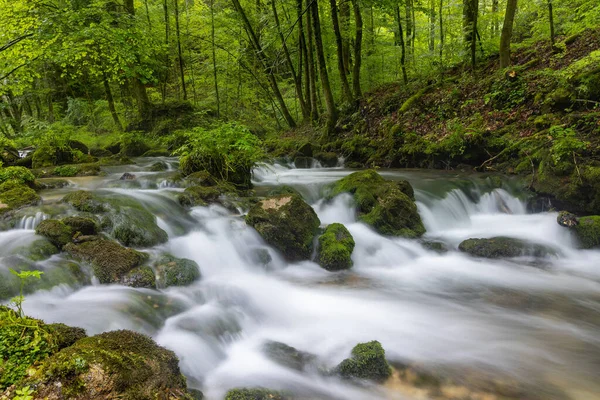 Rapides Dans Ruisseau Forestier Slapnica Printemps Zumberak Croatie — Photo