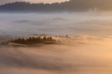 Hırvatistan 'daki bir dağ vadisinde altın sabah sisi ile şafak