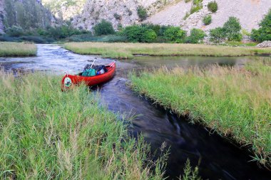 Hırvatistan 'ın Krupa Nehri üzerindeki sulak arazi bitkileri ve kayalar