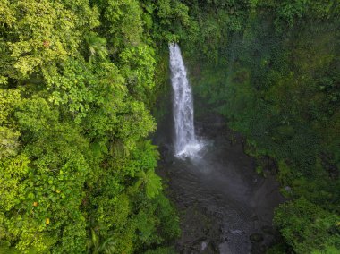 Bali, Endonezya 'daki Nungnung şelalesinin havadan görünüşü