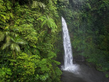 Bali, Endonezya 'daki Nungnung şelalesinin havadan görünüşü
