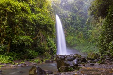Nungnung Şelalesi Endonezya, Bali 'deki verimli tropikal ormanda.