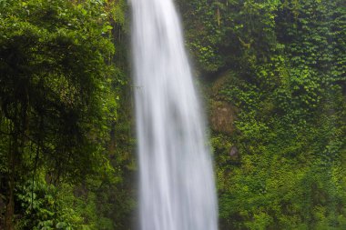 Nungnung Şelalesi Endonezya, Bali 'deki verimli tropikal ormanda.