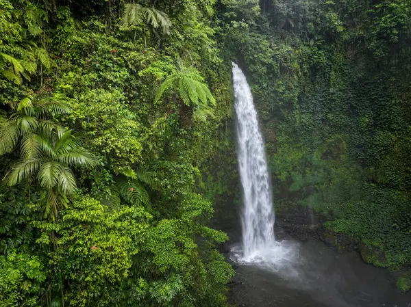 Bali, Endonezya 'daki Nungnung şelalesinin havadan görünüşü