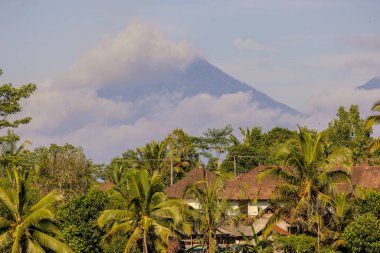 Bali 'de geleneksel bir köy. Arka planda Agung Dağı olan palmiye ağaçları var.