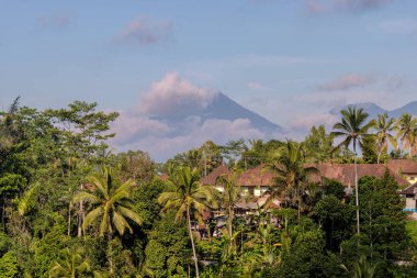Bali 'de geleneksel bir köy. Arka planda Agung Dağı olan palmiye ağaçları var.