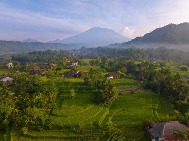 Agung Dağı, Bali, Endonezya 'nın arka planına sahip Sidemen bölgesinin kırsal manzarası