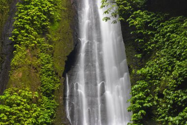 Sekumpul yakınlarındaki Gizli Şelale, Bali Adası, Endonezya