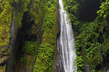 Sekumpul yakınlarındaki Gizli Şelale, Bali Adası, Endonezya