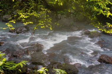 Bali, Endonezya 'da Aling Aling Şelalesi yakınlarındaki vahşi tropikal akarsu