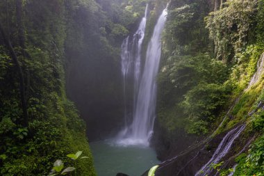 Endonezya, Bali Adası 'nda Aling Aling Şelalesi