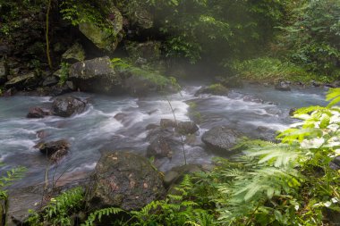 Bali, Endonezya 'da Aling Aling Şelalesi yakınlarındaki vahşi tropikal akarsu