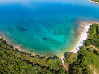 Hırvatistan 'daki Adriyatik Denizi' nin İstra yarımadasının orman kıyı şeridi