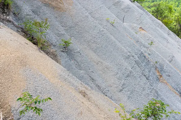 Hırvatistan 'ın Istra yamacındaki Flysch rock' ı