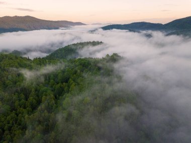 Hırvatistan 'daki bir dağ vadisinde altın sabah sisi ile şafak