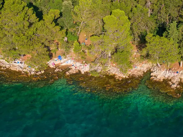 stock image Aerial view of the swimmers on the rocky coast with pine trees near Malinska on Krk Island, Croatia