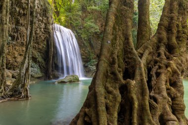 Erawan Şelalesi Tayland yağmur ormanlarında