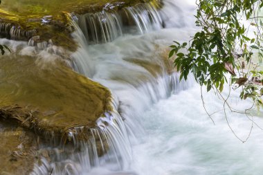Huay Mae Khamin Şelalesi Si Nakharin Ulusal Parkı 'ndaki yağmur ormanlarında, Kanchanaburi, Tayland
