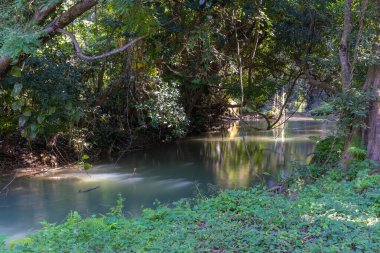 Huay Mae Khamin Şelalesi Si Nakharin Ulusal Parkı 'ndaki yağmur ormanlarında, Kanchanaburi, Tayland