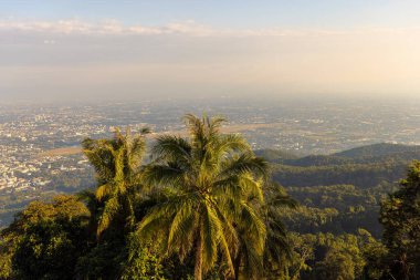 Chiang Mai, Tayland 'daki Wat Doi Suthep Tapınağı' nda görüldü. 